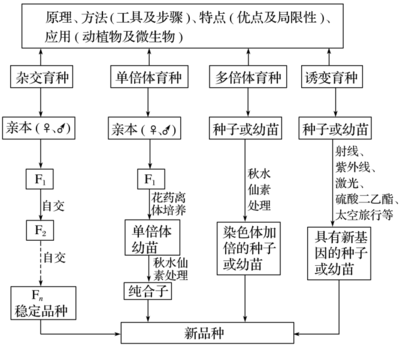 生物育种 2019高考生物二轮复习专题六核心突破（含学案答案）