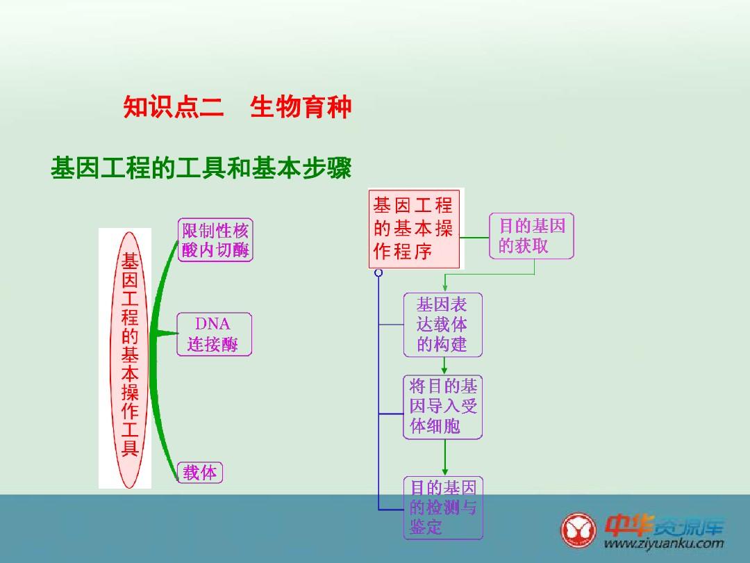 2016届湖南长沙长郡中学高三生物一轮复习课件:人类遗传病与生物育种(