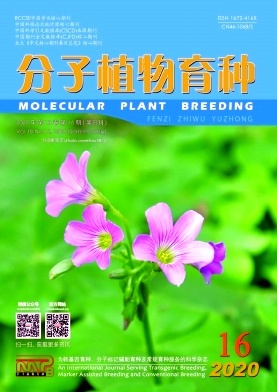 分子植物育种 技术突破与生物时代的育种实践