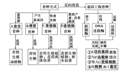 2019-2020高中生物第6章 从杂交育种到基因工程章末知识整合