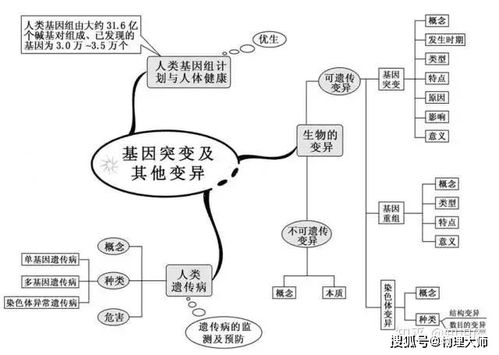高中生物思维导图抢先看 生物育种关键知识点全解析