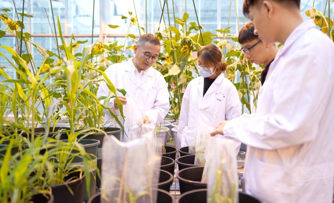 沈志成:创新生物育种技术,可以有所为有所不为丨新年问大咖