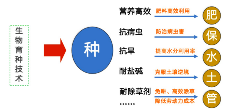 破解种业“卡脖子”难题 我国生物育种产业化走到哪一步了？