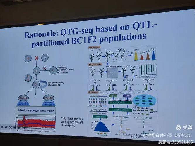 百奥云王艾青参与广东农科院生物育种中心智慧育种培训班活动!